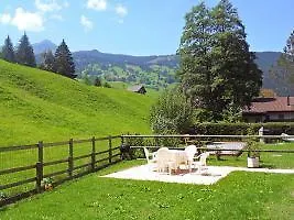 Chalet Gidi Hotel *