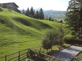 Hotel Chalet Gidi *