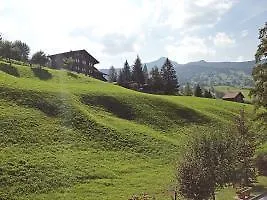 Chalet Gidi Hotel *
